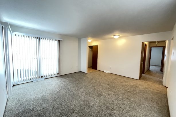 Living Room and Foyer Entry